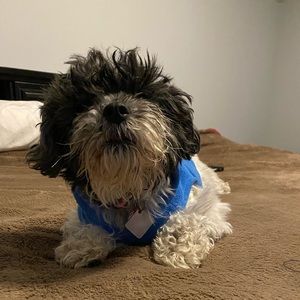 Meet your Posher, Amber